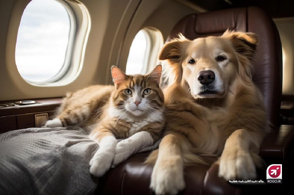 حیوان خانگی در هواپیما